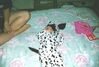 Filename=19971006_002.jpg
Filesize=94KiB
Dimensions=1023x695
Date added=Oct 10, 2008 19971006_002.jpg