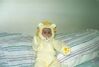 Filename=19971007_002.jpg
Filesize=84KiB
Dimensions=1023x695
Date added=Oct 10, 2008 19971007_002.jpg