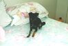 Filename=19971023_002.jpg
Filesize=67KiB
Dimensions=1023x695
Date added=Oct 10, 2008 19971023_002.jpg