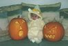 Filename=19971029_001.jpg
Filesize=79KiB
Dimensions=1023x695
Date added=Oct 10, 2008 19971029_001.jpg