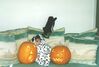 Filename=19971029_003.jpg
Filesize=81KiB
Dimensions=1023x695
Date added=Oct 10, 2008 19971029_003.jpg