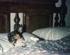 Filename=19979999_011.jpg
Filesize=583KiB
Dimensions=1022x811
Date added=Oct 10, 2008 19979999_011.jpg