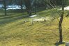 Filename=19980101_004.jpg
Filesize=168KiB
Dimensions=1024x696
Date added=Oct 12, 2008 19980101_004.jpg