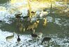 Filename=19980101_007.jpg
Filesize=180KiB
Dimensions=1024x696
Date added=Oct 12, 2008 19980101_007.jpg