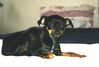 Filename=19980323_001.jpg
Filesize=57KiB
Dimensions=1024x696
Date added=Oct 12, 2008 19980323_001.jpg