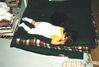 Filename=19980502_001.jpg
Filesize=81KiB
Dimensions=1024x696
Date added=Oct 12, 2008 19980502_001.jpg