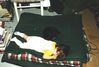 Filename=19980502_002.jpg
Filesize=82KiB
Dimensions=1024x696
Date added=Oct 12, 2008 19980502_002.jpg