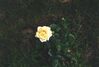 Filename=19980627_001.jpg
Filesize=78KiB
Dimensions=1024x696
Date added=Oct 12, 2008 19980627_001.jpg