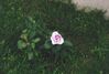 Filename=19980630_003.jpg
Filesize=113KiB
Dimensions=1024x696
Date added=Oct 12, 2008 19980630_003.jpg