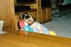 Filename=19980907_002.jpg
Filesize=107KiB
Dimensions=1024x677
Date added=Oct 12, 2008 19980907_002.jpg