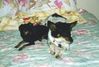 Filename=19980915_001.jpg
Filesize=99KiB
Dimensions=1024x696
Date added=Oct 12, 2008 19980915_001.jpg