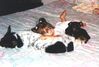Filename=19980915_004.jpg
Filesize=84KiB
Dimensions=1024x696
Date added=Oct 12, 2008 19980915_004.jpg