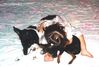 Filename=19980915_006.jpg
Filesize=87KiB
Dimensions=1024x696
Date added=Oct 12, 2008 19980915_006.jpg