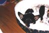 Filename=19980920_002.jpg
Filesize=61KiB
Dimensions=1024x696
Date added=Oct 12, 2008 19980920_002.jpg