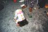 Filename=19981002_001.jpg
Filesize=121KiB
Dimensions=1024x696
Date added=Oct 12, 2008 19981002_001.jpg