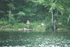 Filename=19990909_002.jpg
Filesize=120KiB
Dimensions=1024x696
Date added=Oct 12, 2008 19990909_002.jpg
