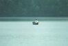 Filename=19990909_003.jpg
Filesize=64KiB
Dimensions=1024x696
Date added=Oct 12, 2008 19990909_003.jpg