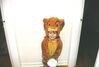 Filename=19991030_001.jpg
Filesize=55KiB
Dimensions=1024x696
Date added=Oct 12, 2008 19991030_001.jpg