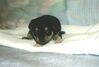 Filename=19991203_004.jpg
Filesize=67KiB
Dimensions=1024x696
Date added=Oct 12, 2008 19991203_004.jpg