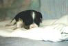 Filename=19991203_005.jpg
Filesize=62KiB
Dimensions=1024x696
Date added=Oct 12, 2008 19991203_005.jpg