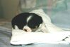 Filename=19991203_006.jpg
Filesize=62KiB
Dimensions=1024x696
Date added=Oct 12, 2008 19991203_006.jpg