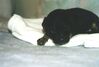 Filename=19991203_009.jpg
Filesize=59KiB
Dimensions=1024x696
Date added=Oct 12, 2008 19991203_009.jpg