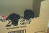 Filename=19991215_001.jpg
Filesize=85KiB
Dimensions=1024x696
Date added=Oct 12, 2008 19991215_001.jpg