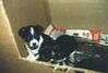 Filename=19991216_011.jpg
Filesize=74KiB
Dimensions=1024x696
Date added=Oct 12, 2008 19991216_011.jpg