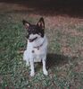 Filename=19999999_001.jpg
Filesize=105KiB
Dimensions=562x600
Date added=Oct 12, 2008 19999999_001.jpg