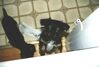 Filename=20000111_002.jpg
Filesize=64KiB
Dimensions=1023x693
Date added=Oct 14, 2008 20000111_002.jpg