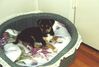 Filename=20000216_001.jpg
Filesize=84KiB
Dimensions=1023x693
Date added=Oct 14, 2008 20000216_001.jpg