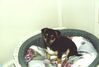 Filename=20000216_002.jpg
Filesize=65KiB
Dimensions=1023x693
Date added=Oct 14, 2008 20000216_002.jpg