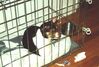 Filename=20000216_003.jpg
Filesize=97KiB
Dimensions=1023x693
Date added=Oct 14, 2008 20000216_003.jpg