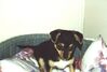 Filename=20000216_004.jpg
Filesize=54KiB
Dimensions=1023x693
Date added=Oct 14, 2008 20000216_004.jpg