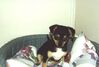 Filename=20000216_005.jpg
Filesize=65KiB
Dimensions=1023x693
Date added=Oct 14, 2008 20000216_005.jpg