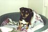 Filename=20000216_006.jpg
Filesize=76KiB
Dimensions=1023x693
Date added=Oct 14, 2008 20000216_006.jpg