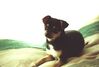 Filename=20000219_001.jpg
Filesize=54KiB
Dimensions=1023x693
Date added=Oct 14, 2008 20000219_001.jpg
