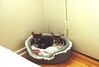 Filename=20000312_001.jpg
Filesize=60KiB
Dimensions=1023x693
Date added=Oct 14, 2008 20000312_001.jpg