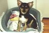 Filename=20000331_003.jpg
Filesize=82KiB
Dimensions=1023x693
Date added=Oct 14, 2008 20000331_003.jpg