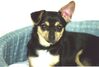 Filename=20000418_001.jpg
Filesize=58KiB
Dimensions=1023x693
Date added=Oct 14, 2008 20000418_001.jpg