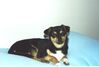 Filename=20000508_001.jpg
Filesize=50KiB
Dimensions=1023x693
Date added=Oct 14, 2008 20000508_001.jpg