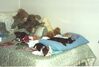 Filename=20000710_002.jpg
Filesize=88KiB
Dimensions=1023x693
Date added=Oct 14, 2008 20000710_002.jpg