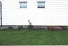 Filename=20000814_003.jpg
Filesize=88KiB
Dimensions=1023x693
Date added=Oct 14, 2008 20000814_003.jpg
