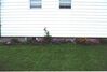 Filename=20000814_005.jpg
Filesize=87KiB
Dimensions=1023x693
Date added=Oct 14, 2008 20000814_005.jpg