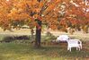 Filename=20001014_001.jpg
Filesize=162KiB
Dimensions=1023x693
Date added=Oct 14, 2008 20001014_001.jpg