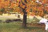 Filename=20001014_002.jpg
Filesize=154KiB
Dimensions=1023x693
Date added=Oct 14, 2008 20001014_002.jpg