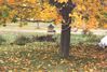 Filename=20001015_003.jpg
Filesize=160KiB
Dimensions=1023x693
Date added=Oct 14, 2008 20001015_003.jpg
