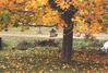 Filename=20001015_004.jpg
Filesize=156KiB
Dimensions=1023x693
Date added=Oct 14, 2008 20001015_004.jpg