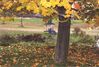 Filename=20001015_005.jpg
Filesize=143KiB
Dimensions=1023x693
Date added=Oct 14, 2008 20001015_005.jpg