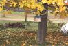 Filename=20001015_006.jpg
Filesize=150KiB
Dimensions=1023x693
Date added=Oct 14, 2008 20001015_006.jpg